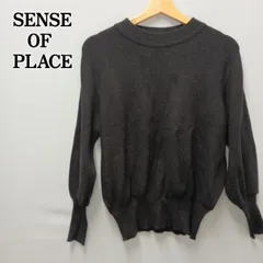 SENSE OF PLACE 長袖セーター・ニット 254