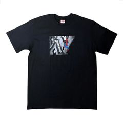 Supreme x Spider-Man Tee 