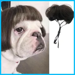 【新着商品】面白い おしゃれ 目に立つ ワンちゃん 可愛い コスプレ 撮影道具 パーティー 変身 出掛け ハロウィン 散歩 着脱簡単 かつら 犬 犬被り物 猫 ペットウィッグ ペット用帽子