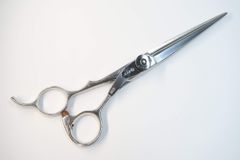 Item thumbnail for item cf4a04e6-50ee-424f-969e-a31c35043d01