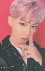 StrayKids GO生 FELIX トレーディングカード B