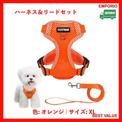 🌈ゴールデンウィーク限定大放出‼️🌈　　ペット用ハーネス＆リードセット