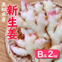 7/4発送 新生姜 高知県四万十市産 新生姜 2kg - メルカリ