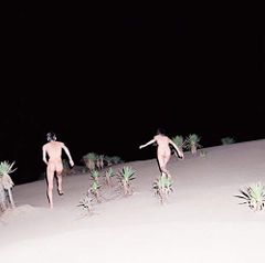 Item thumbnail for item dc782325-d603-4b1f-b99b-8bea4a08c43e