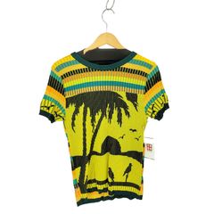 デシグアル Desigual フウケイデザイン リブデザイン クルーネック 半袖ニットTシャツ レディース  L