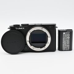 美品 LUMIX DC-S9-BK 本体 + SIGMA 35mm F2 DG - メルカリ