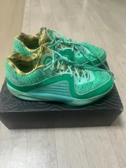 KD16 290 バスケシューズ