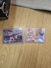 ワイルド독 ルーベンシア リーダーペレ カード 2種