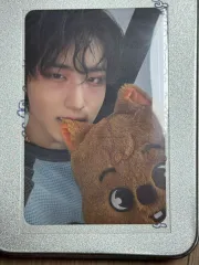 straykids ハン Stray Kids World Tour dominATE : celebrATE 購入特典