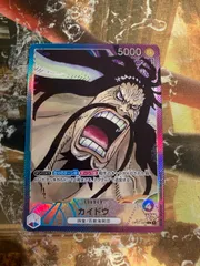 2026年最新】カイドウ パラレル リーダーの人気アイテム - メルカリ