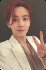 SEVENTEEN OTHER SIDE JEONGHAN Your Choice ピンク