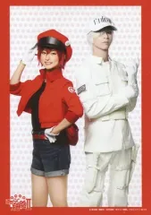 【中古】生写真(男性) 北村諒(白血球(好中球))・川村海乃(赤血球)/膝上・枠赤・キャラクターショット/体内活劇「はたらく細胞」II ランダムブロマイド