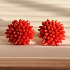珊瑚 イヤリング