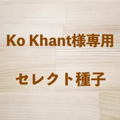 Ko Khant様専用　セレクト種子　5袋
