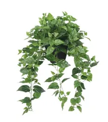 新品 365 ブルーミングデコ リアルな人工鉢植えポトスアイビープラント(デビルズアイビー)、シンダプサスアウレウス、自宅、オフィス装飾用、プレミアムフェイクプラント 高さ30インチ x 幅22.8インチ、//耐候性//屋内&屋外