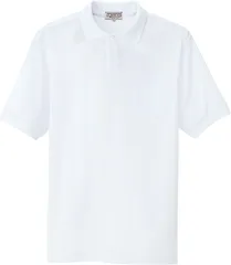 アイトス AITOZ 半袖ポロシャツ トップス ベーシック シンプル 鹿の子 カノコ 普段使い 屋外 運動会 イベント ボランティア メンズ 男性用 レディース 女性用 大人用  76155L 060 ピンク