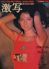 BIG GORO 激写 写真集 宮崎美子 ポスター 山口百恵 石野真子 榊原郁恵