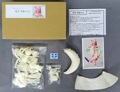 Item thumbnail for item 9854d517-45e6-4999-b3d2-ad6072dd13c5