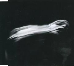 DIR EN GREY 落ちた事のある空 CD+Blu-ray 限定盤 - メルカリ