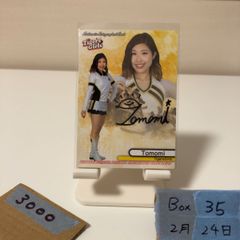 Item thumbnail for item e865ef23-f88d-4397-a7bf-33b5f605f062