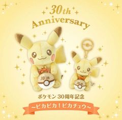 30周年記念 ピカピカ！ピカチュウ マスコット&ぬいぐるみ2点セット 6個 30周年記念ぬいぐるみ ピカピカ！ピカチュウ 30周年記念マスコット