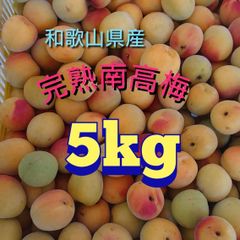 和歌山県産 完熟南高梅‼️L〜M混合‼️5kg みかんキング 家庭用 - メルカリ