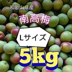 露茜 梅ジュース用 5kg 冷凍 和歌山県産 新品種 - メルカリ