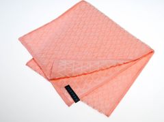 Item thumbnail for item e5aa1156-a1e4-4857-aee9-564872071f48