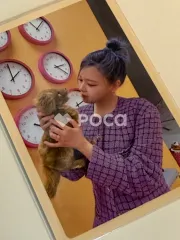 TWICE ジョンヨン BETWEEN 1&2 トレーディングカードセット Archive Ver.