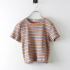 美品 ビューティー＆ユース BEAUTY&YOUTH マルチボーダーコンパクトTシャツ＼ブラウン ブルー コットン リブ カットソー【2400014865080】