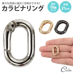 楕円形 カラビナ キーリング 21mm オーバル パーツ 楕円型 キーホルダー バッグ チャーム アクセサリー 小型 軽量 アウトドア 鍵