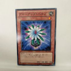 グローアップバルブ 英語レリーフ1st - メルカリ