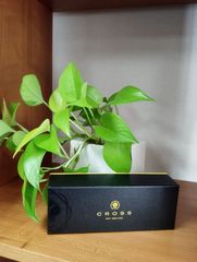 セドリックグロレ ミルクチョコレート ボンボン5ピース 50g - メルカリ