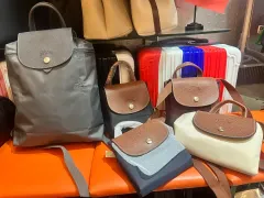 ロンシャンル・プリアージュバックパック