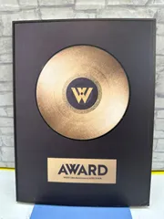 【K4-45】◎ AWARD WEST.10th Anniversary LIVE TOUR 中古