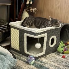 ✩.*˚美品！！完売品のロウヤ猫ハウス猫家具✩.*˚ - メルカリ
