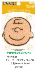 キャラクター 刺しゅう ワッペン  スヌーピー チャーリーブラウン　 fst- （S02Y3271）アップリケ サガラもこもワッペン  スヌーピーワッペン 女の子 男の子