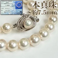 【アコヤ真珠】パールネックレス 7.0mm〜7.5mm 冠婚葬祭 Silver / 33.26g C2689