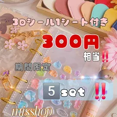 【限定5セット】A6 水流 クリア バインダー セット リフィル 10枚 3Dシール付 選べる 8種類 家計管理 貯金 封筒貯金 お札貯金 推し活 デコ システム手帳 6穴 透明 1499円 期間限定 特典付 24時間以内発送 Misshop