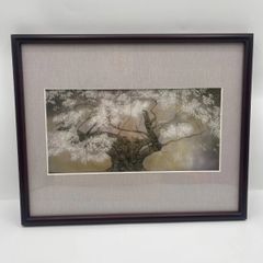 日本画 額装 ゴーヤの図 落款あり - メルカリ