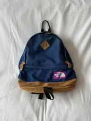 THE NORTH FACE パープルラベル スウェード デイパック
