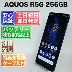 Android16】Xperia 5 J9260 SIMフリー 訳あり品 - メルカリ