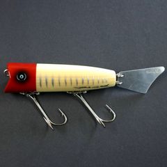 Fish Colca ハチローサティスファクション Quality Life (フィッシュ