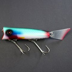 Fish Colca ハチローサティスファクション Quality Life (フィッシュ