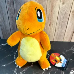 新品未使用 ポケモンセンター オリジナル商品 ぬいぐるみ ヒトカゲ