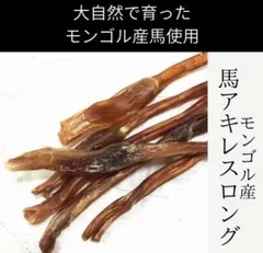 たん様 専用ページ（20260313）