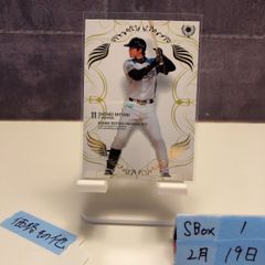2013 BBM Rookie Edition Premium 오타니 쇼헤이 홋카이도 일본 햄 파이터스 RC 루키 Rookie 최고급판 하이엔드 high-end 카드 los angels dodgers 다저스