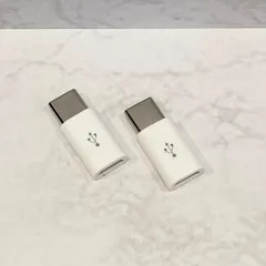 microUSB-Type-C（タイプC）変換アダプタ白　2個【B】
