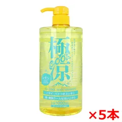 アイスクールボディシャンプー 極涼COOL クールレモンの香り 大容量 1000mL X5本