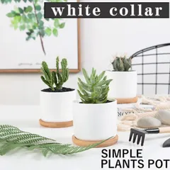 鉢 大型 陶器鉢 白 ホワイト 鉢植え おしゃれ 観葉植物 プランター 丸形 室内 塊根 多肉植物 受け皿付き 穴あり